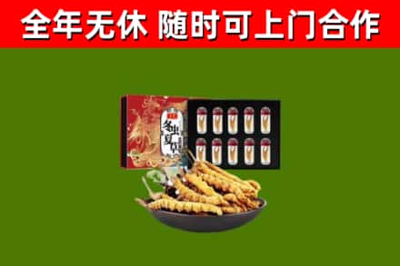 清水回收冬虫夏草价格