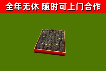 清水回收海参